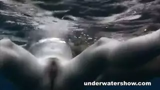 ولد يدر لمه مصج