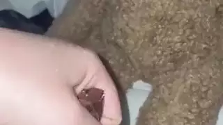 إباحية نزوة الطعام: حوريات هواة عربيات يُقذفن عليهن ويئنّ