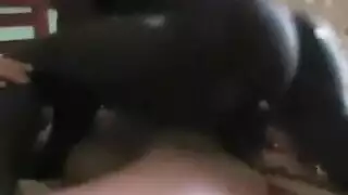 فيديو لحس كس وطيز وبزاز