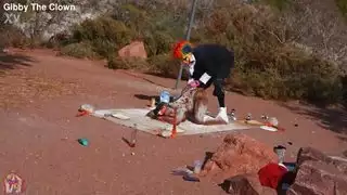 طائر الجدة غير المتبل يحصل على عملية استمناء بطريقة إباحية وشرج قاسي